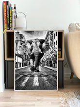 Load image into Gallery viewer, Elephant in the streets
