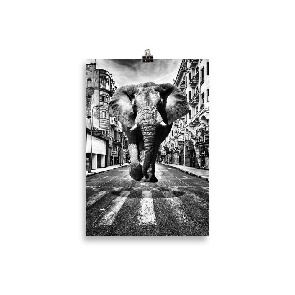 Elephant in the streets