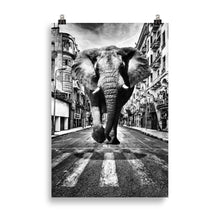 Load image into Gallery viewer, Elephant in the streets
