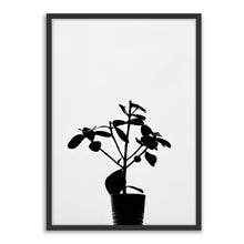 Load image into Gallery viewer, Plant in silhouette
