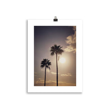 Load image into Gallery viewer, Palm trees
