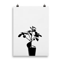 Load image into Gallery viewer, Plant in silhouette
